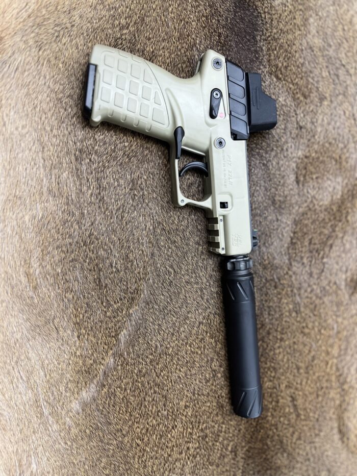 Keltec 22LR Pistol