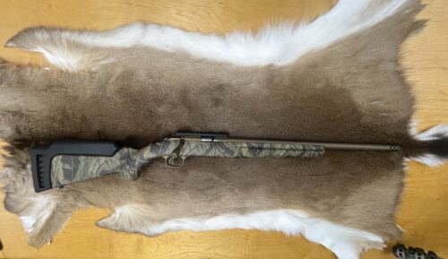 Ruger American 22MWMR rifle
